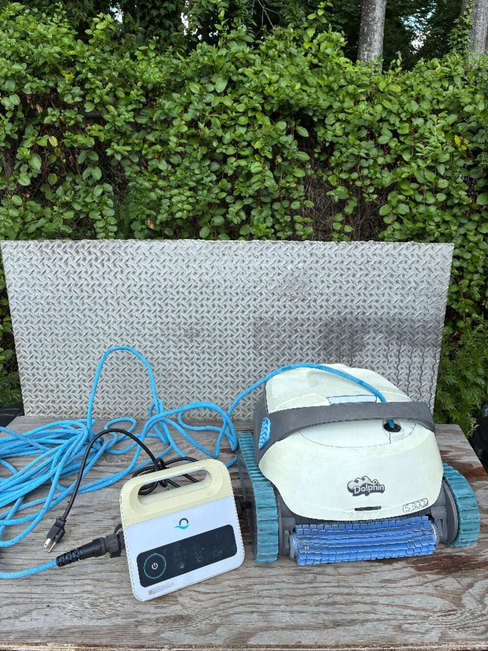Dolphin S300i Pool Vacuum Pool Cleaner With Advanced 115 Power Supply